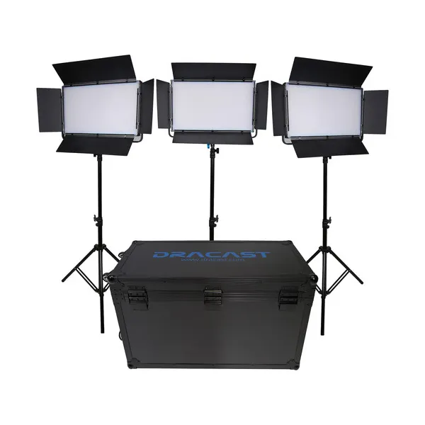 Does the Dracast LED2000 Kala Bi-Color LED 3-Light Kit include a recheargable battery?