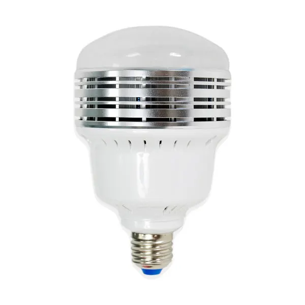 Does Filmtools sell 100-watt LED bulbs?